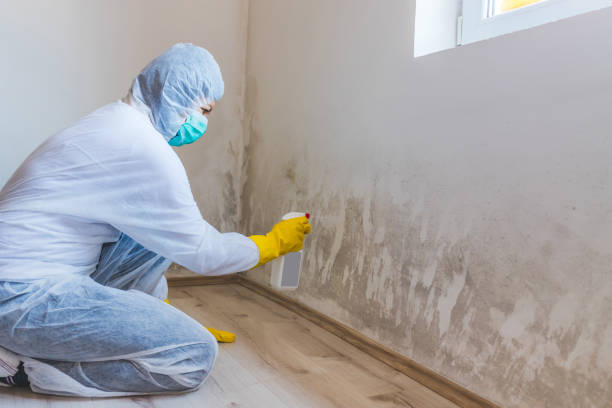 Hvac And Air Duct Mold Remediation inspection of HVAC system in Chelsea